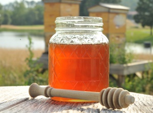 Honey